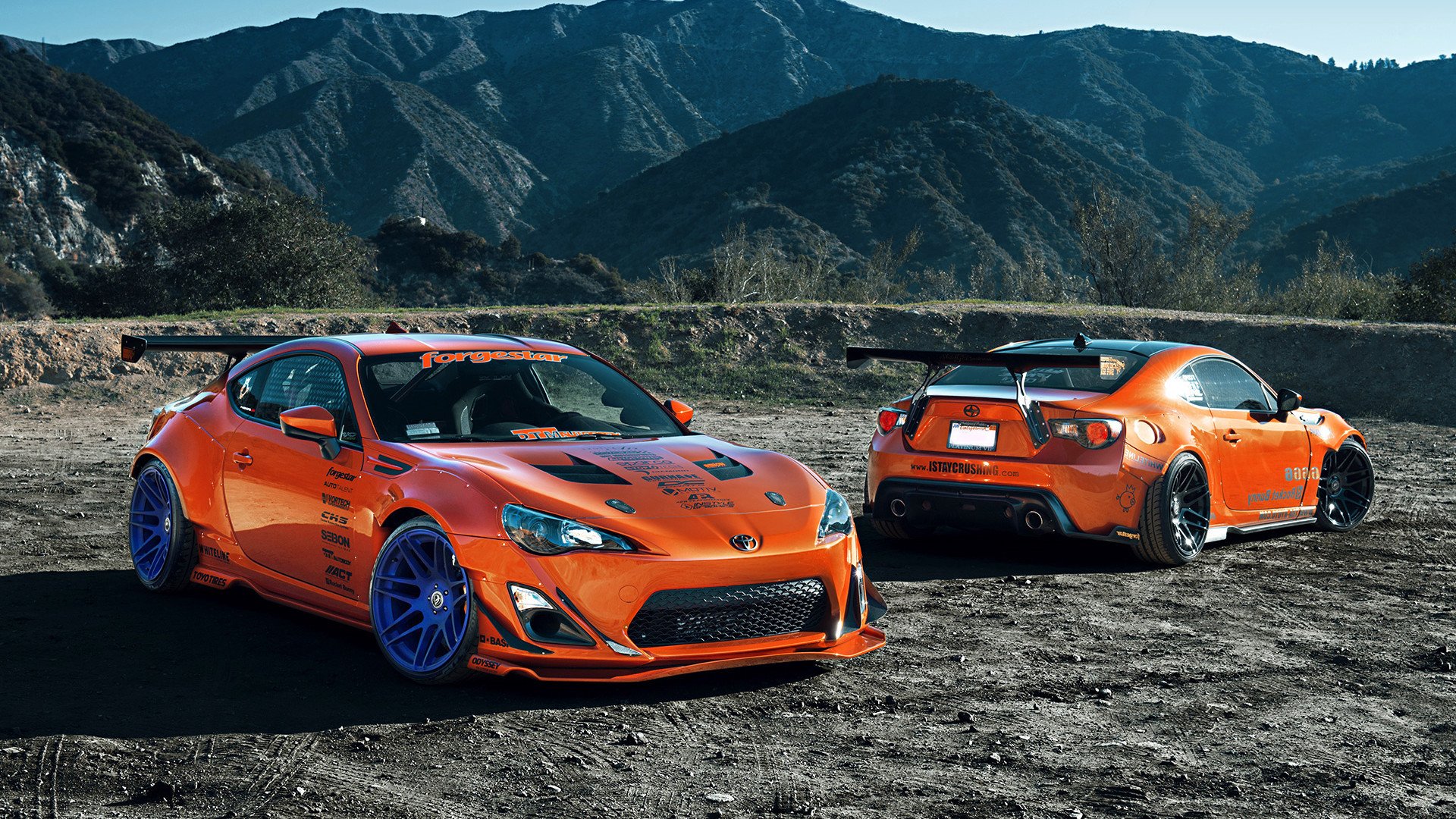 纽卡斯尔多点进攻打出战术灵活性,纽卡斯尔 球员