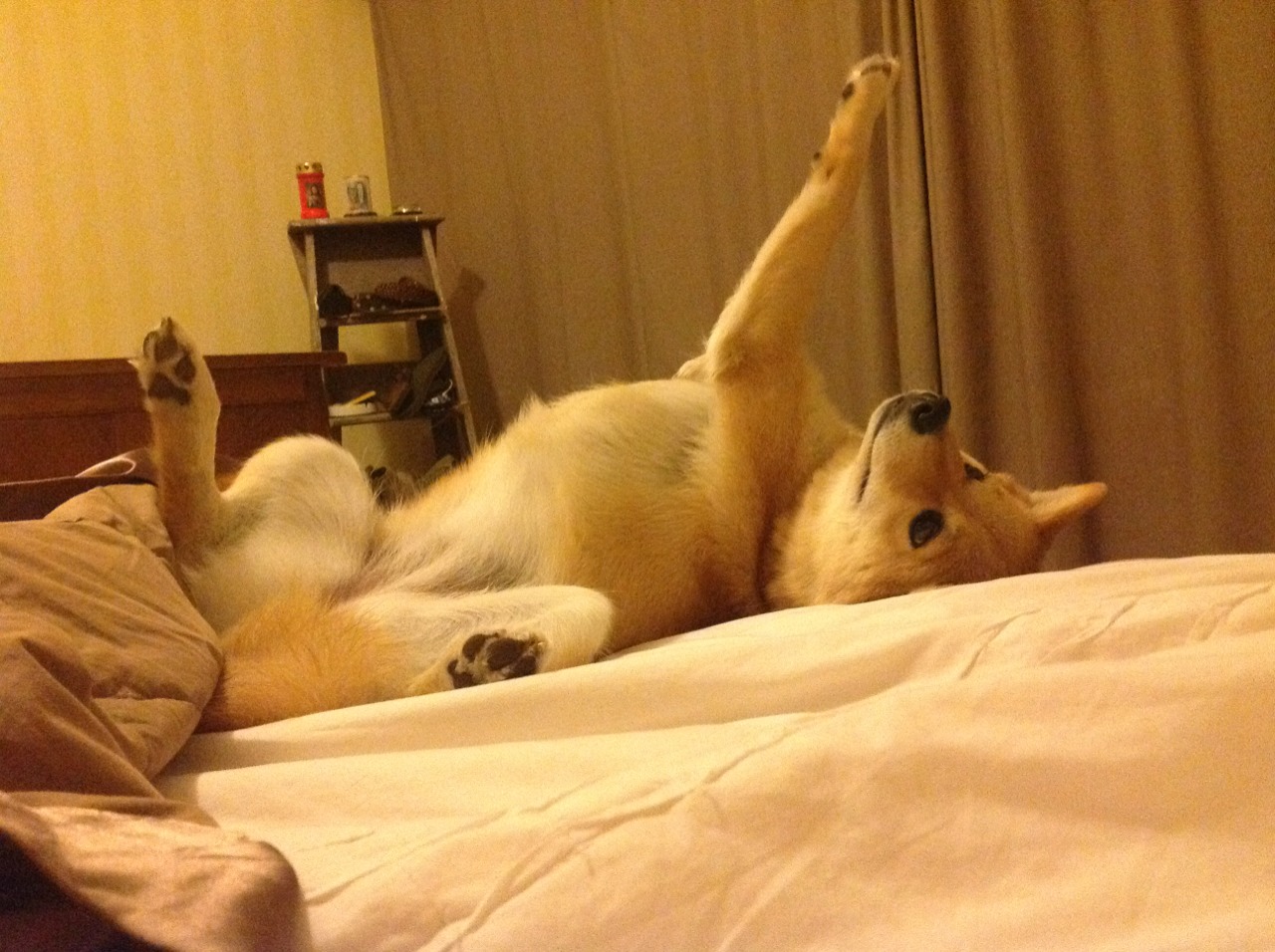 青训设施投入不足，青训设施投入不足原因分析